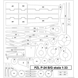 PZL P24 B/G