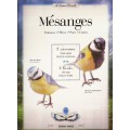 MESANGES