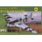 P-51D MUSTANG